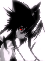 12.png