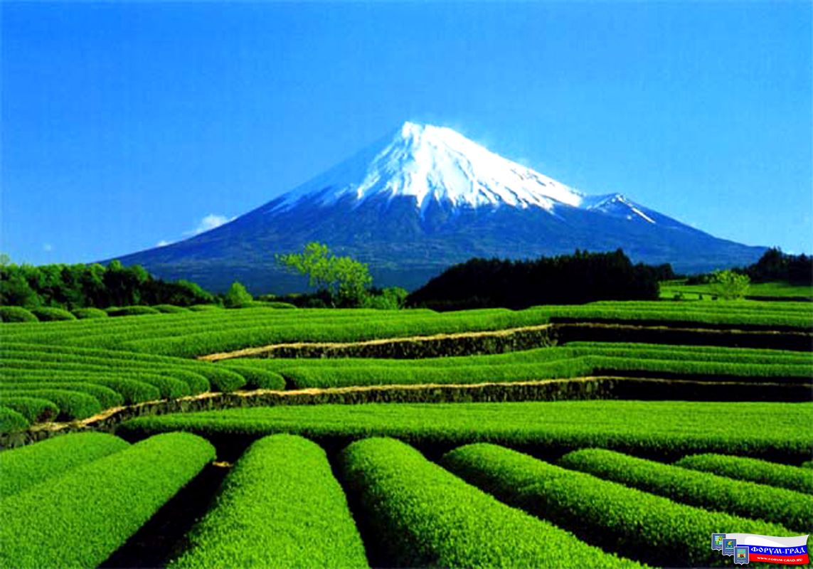 japan2.jpg