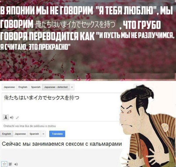 DqIIk3dU23o.jpg