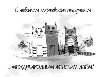 Коты.JPG