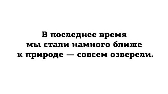 vNgvVK15ul0.jpg