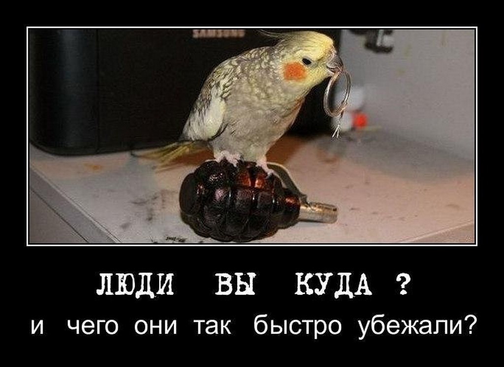 i.jpg