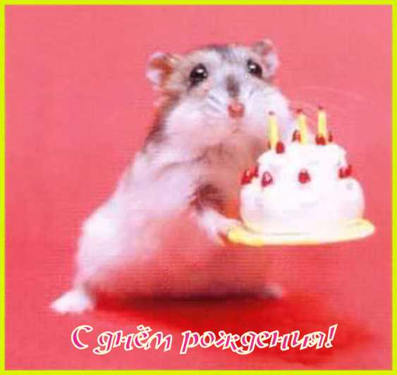 happy_birthday_07_2.jpg